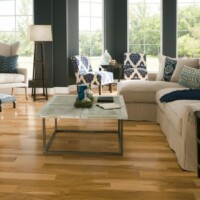 Armstrong Prime Harvest Engineered Hardwood Country Natural