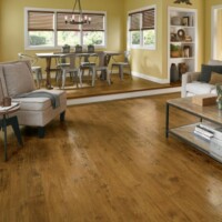 Armstrong Woodland Hickory Laminate Scraped Spice