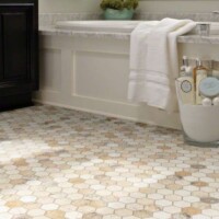 Shaw BOCA HEXAGON MOSAIC