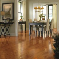 Bruce Engineered Hardwood Oak Butterscotch