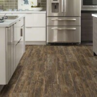 Shaw DODGE CITY PLANK1