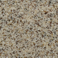 Dream Weaver Adventurous