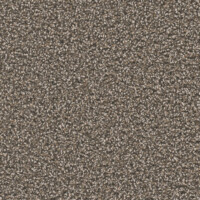 Dream Weaver Carnival