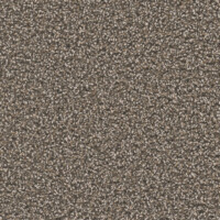 Dream Weaver Carnival