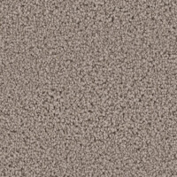 Dream Weaver Exceptional