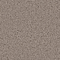 Dream Weaver Exceptional