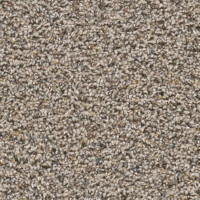 Dream Weaver Mardi Gras