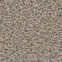 Dream Weaver Mardi Gras