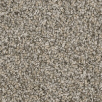 Dream Weaver West Brow