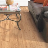 Mohawk Laminate Wood Carnivalle Plus
