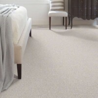 Shaw Bellera Just A Hint