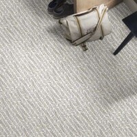 Shaw Bellera Lead The Way