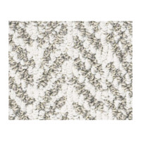 Shaw Bellera Lead The Way1