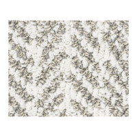 Shaw Bellera Lead The Way1