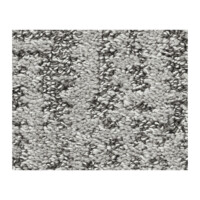 Shaw Bellera Obvious Choice1