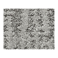 Shaw Bellera Obvious Choice1