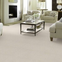 Shaw Bellera Outside the Lines