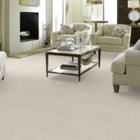 Shaw Bellera Outside the Lines