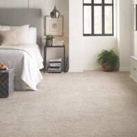 Shaw Bellera Points of Color