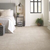 Shaw Bellera Points of Color