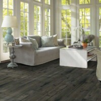 Shaw Laminate Wood Harbour Towne