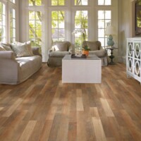 Shaw Laminate Wood Kingsbridge Plus