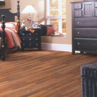 Shaw Laminate Wood Natural Values II