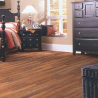 Shaw Laminate Wood Natural Values II