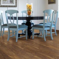 Shaw Luxury Vinyl Plank Bella