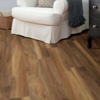Shaw Luxury Vinyl Plank Paramount